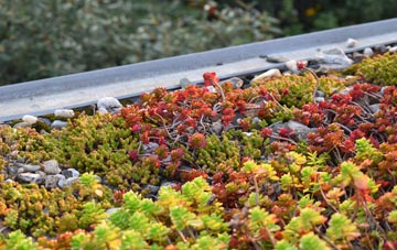 the cost of East Haddon green roof installation