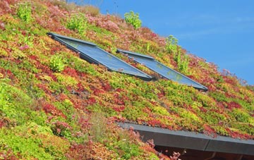 East Haddon living roof systems