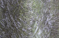 East Haddon fibreglass roof work